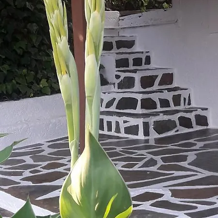 דירה Spasmata Village Only Adults *